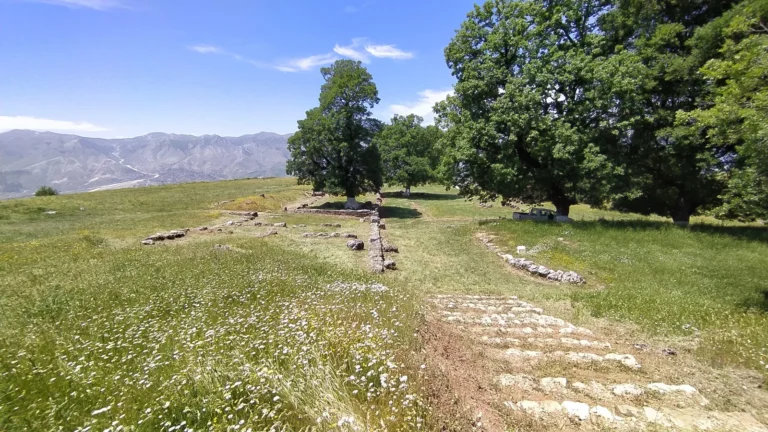 IMG_20210526_120603-scaled