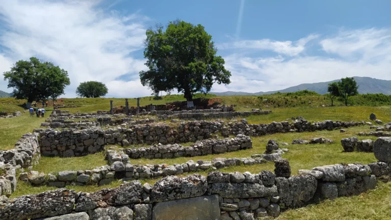 IMG_20210526_120718-scaled