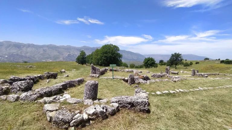 IMG_20210526_120805-scaled