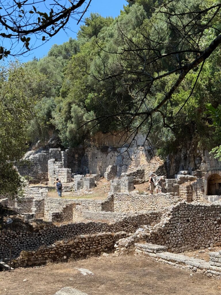 439d128f-8a8b-4bd8-87ac-29a4d4ffdb4f