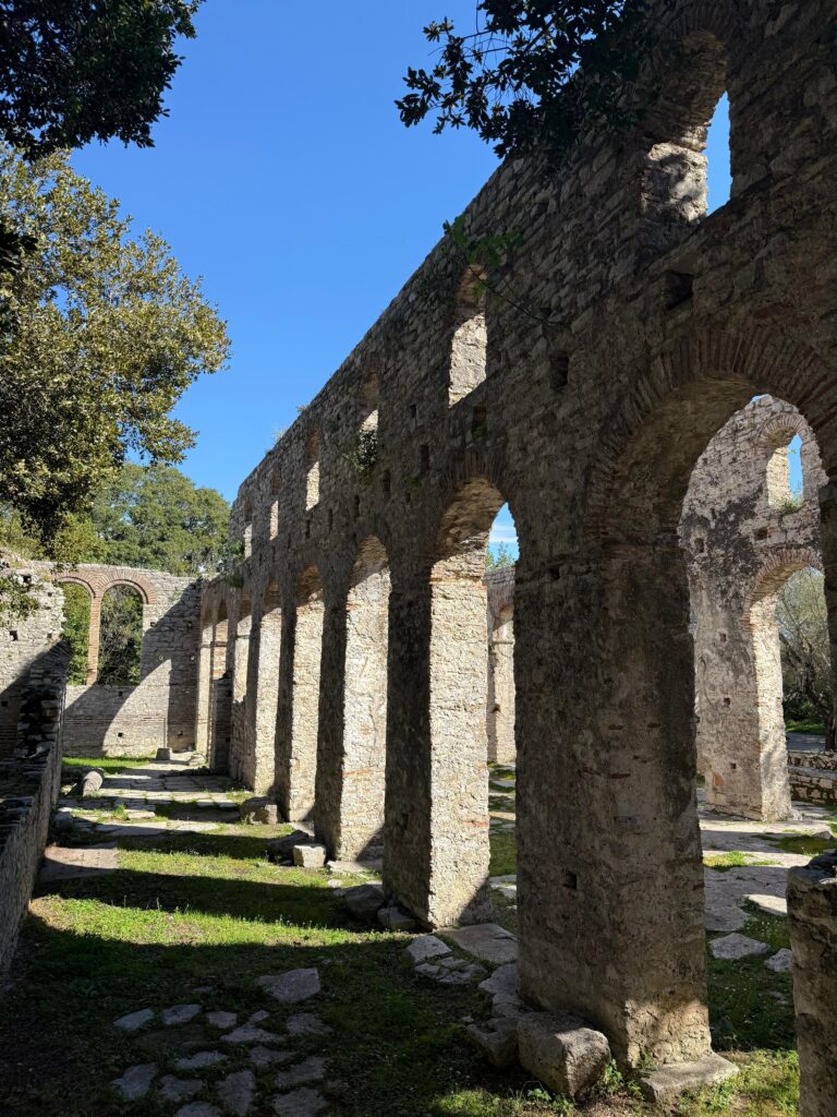 6070bee8-6af9-4919-a191-523396e20c2a