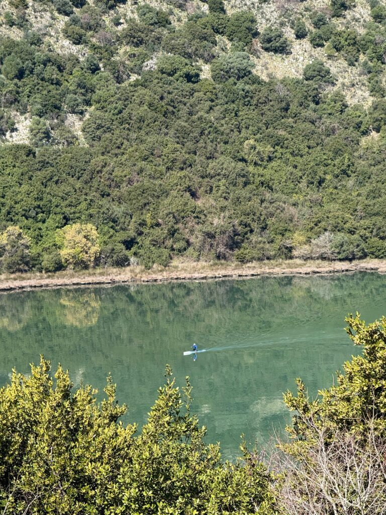 a05e06bc-f79b-43d8-a9c0-74c837576c11