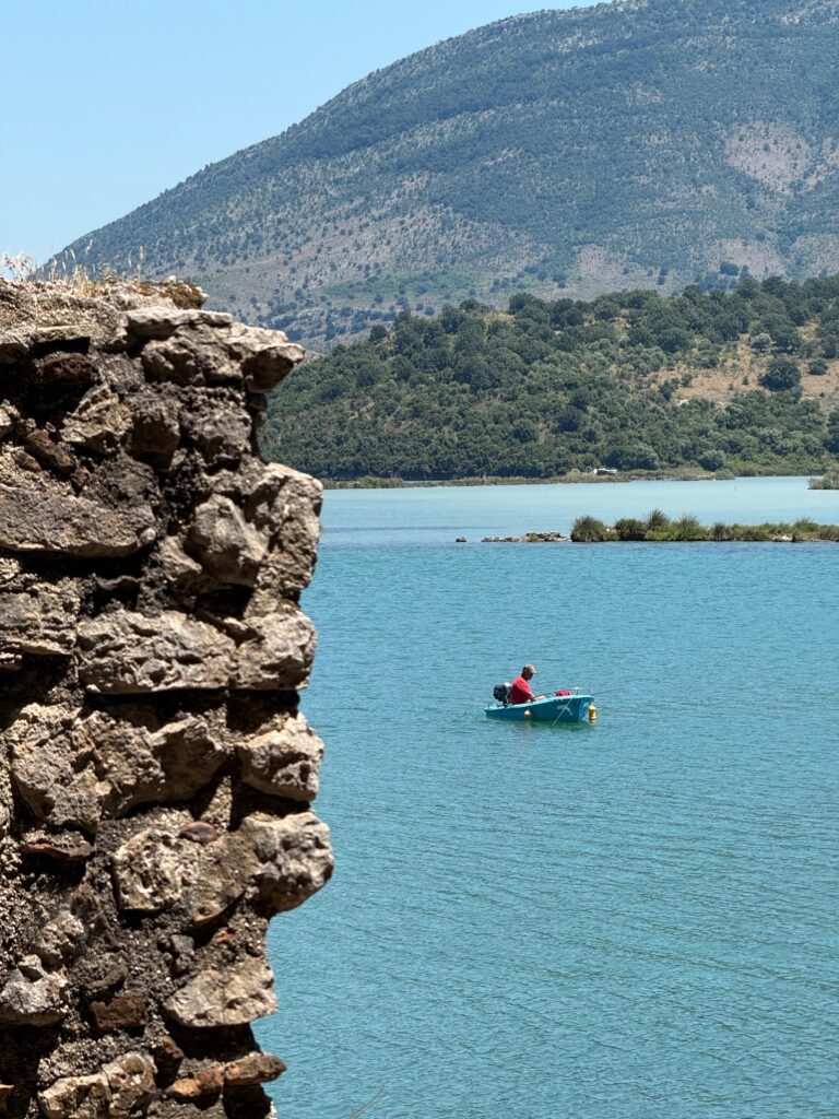 f7c78b1d-f1c8-4a21-a484-ec317fb1098a