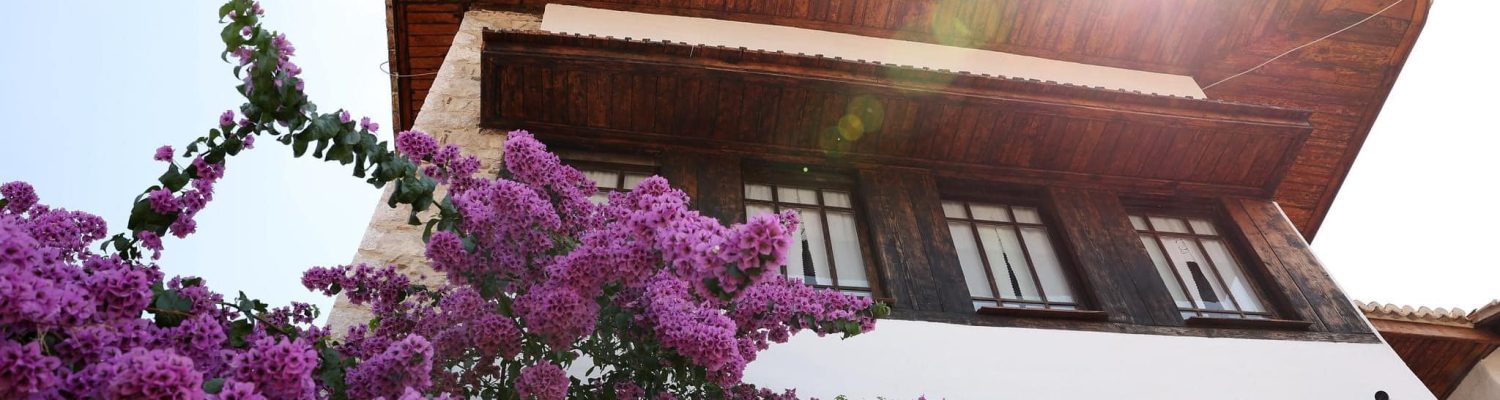 489055790_1222511883207687_8006517458485053698_n