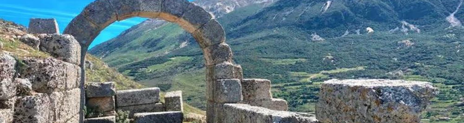 amantia_resized_1000x668-2